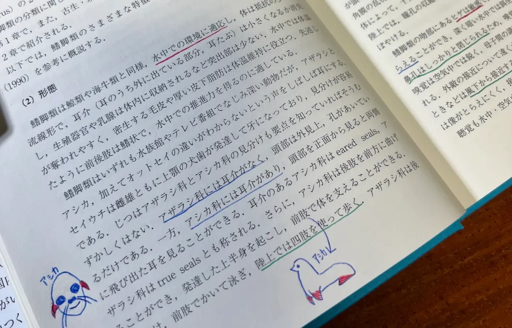 3色ボールペンを使って文章の構造を整理する実例