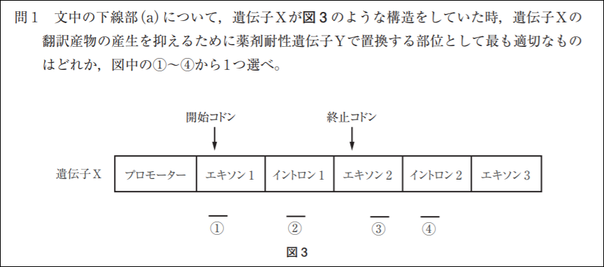 冬期講習生物のテキスト内容
