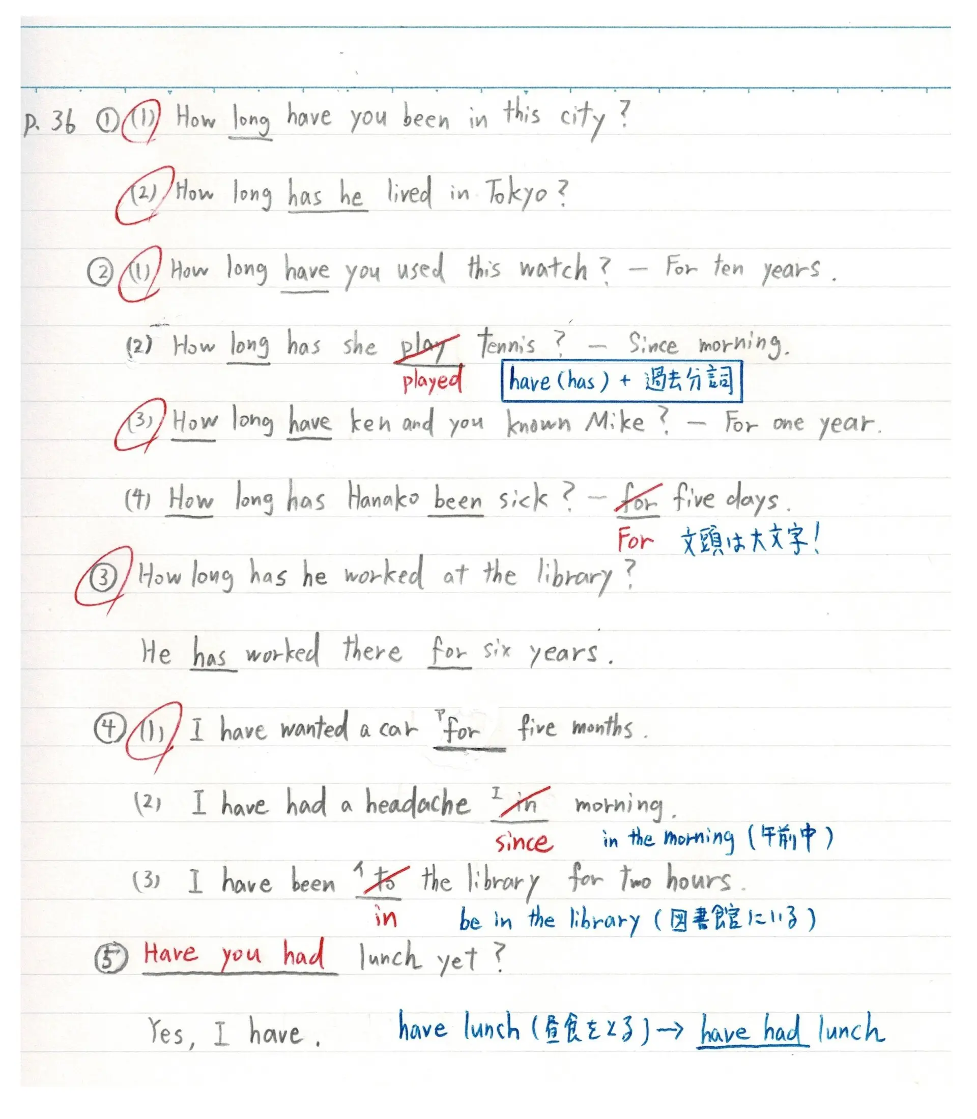 英語の演習ノートの好例
