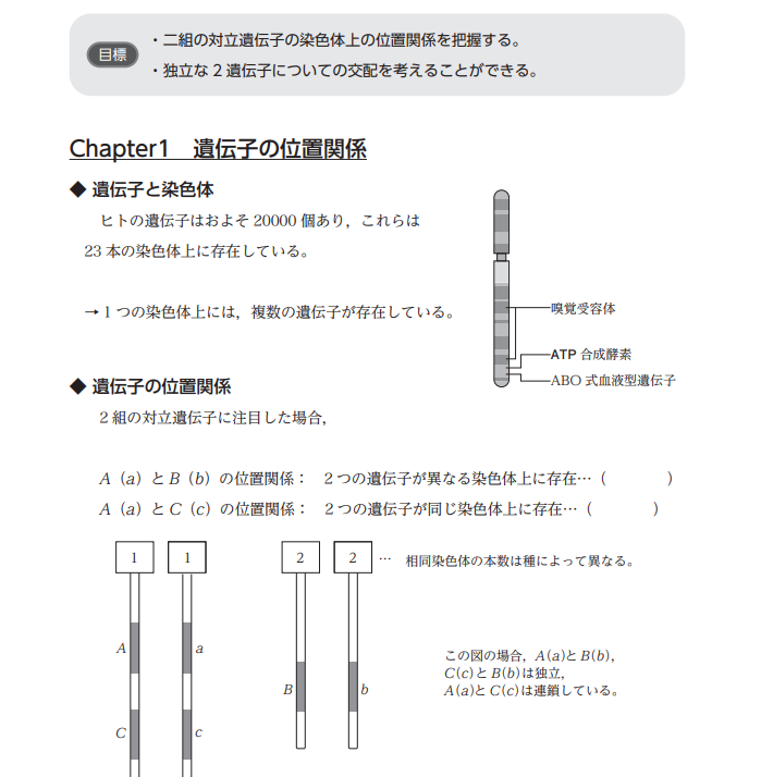 ベーシックレベル生物のテキスト内容