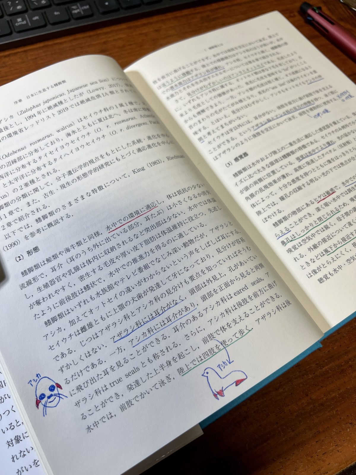 赤青緑の3色で色分けした専門書