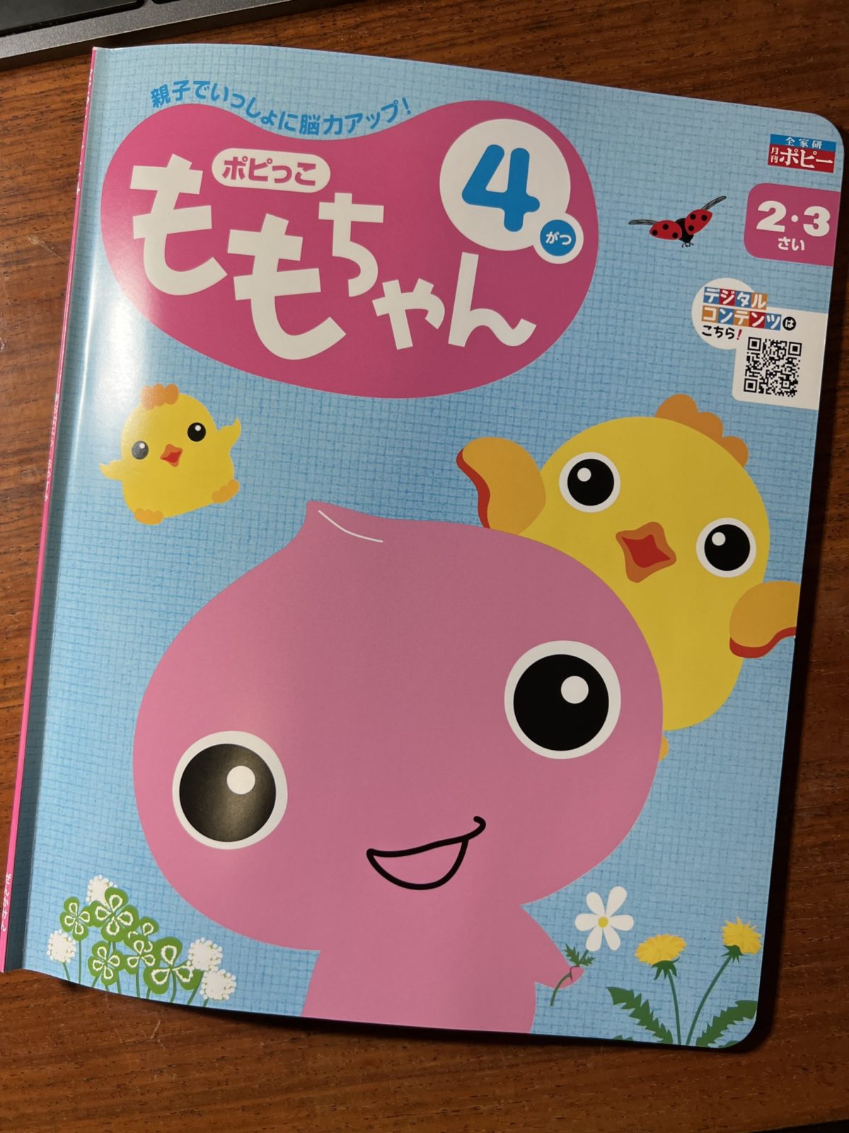 ももちゃんの表紙