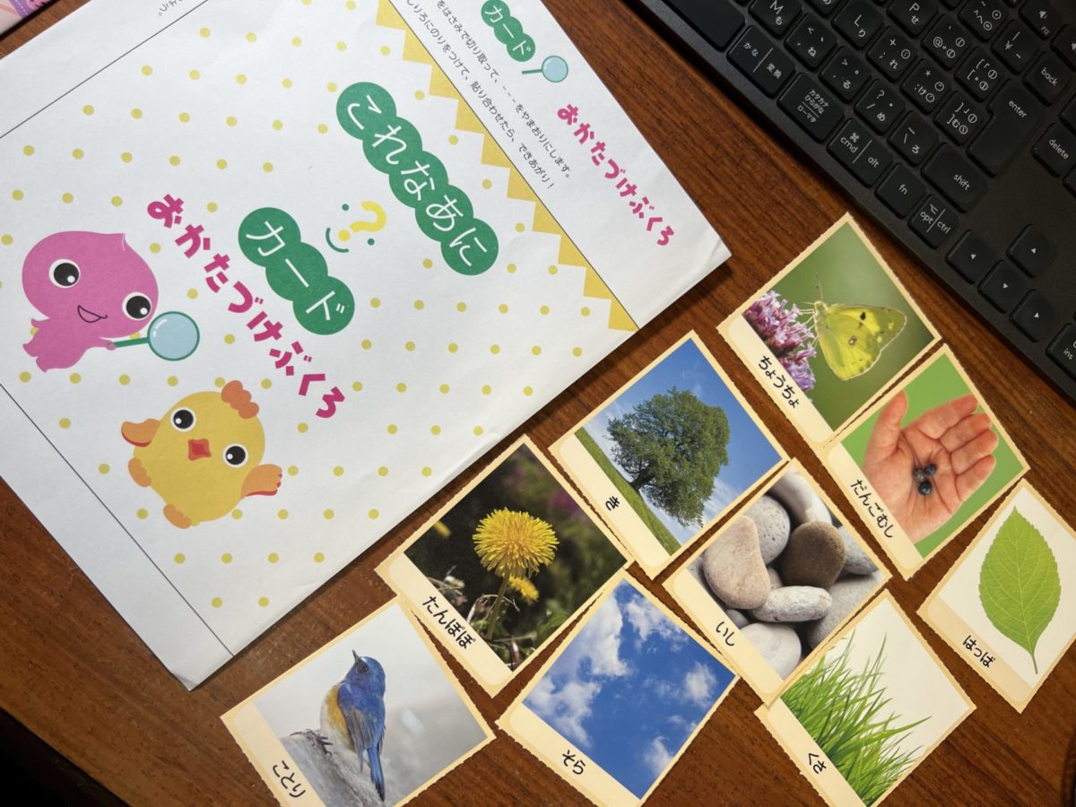 幼児ポピーの「これなあにカード」の例