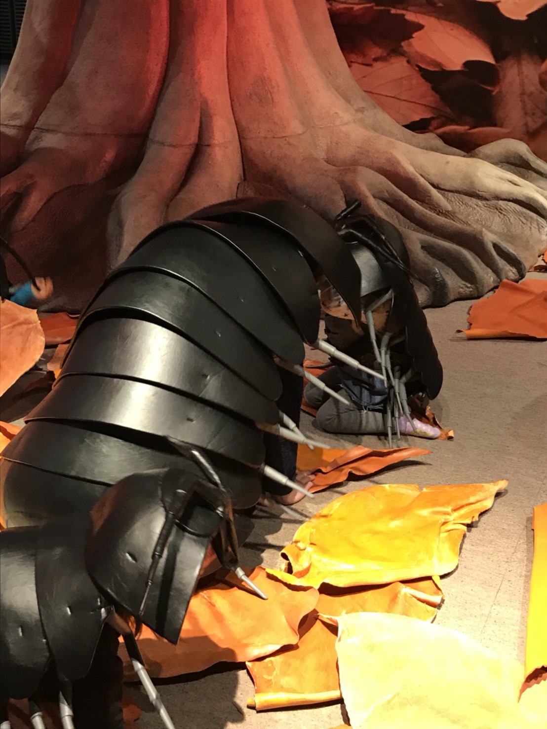 ダンゴムシの衣装に身を包んだ管理人